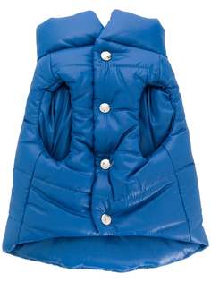 Moncler x Poldo пуховик для собаки из коллаборации с Poldo
