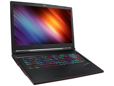Ноутбук MSI GL73 8SDK-296XRU Black 9S7-17C722-296 (Intel Core i7-8750H 2.2 GHz/8192Mb/512Gb SSD/nVidia GeForce GTX 1660Ti 6144Mb/Wi-Fi/Bluetooth/Cam/17.3/1920x1080/DOS)
