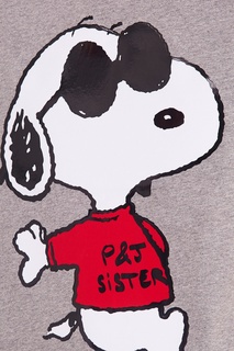 Серая меланжевая футболка с принтом Paul & Joe Sister