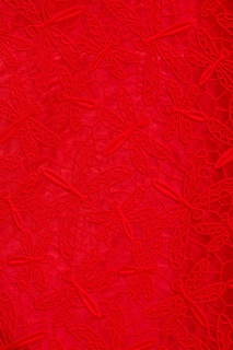 Красная юбка с ажурным верхом Rochas