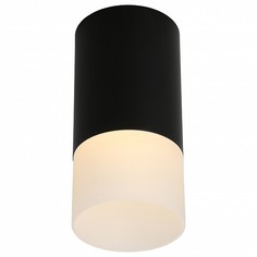 Накладной светильник Lucido OML-100619-01 Omnilux