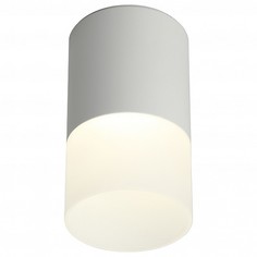 Накладной светильник Ercolano OML-100009-05 Omnilux