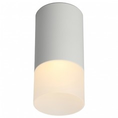 Накладной светильник Lucido OML-100609-01 Omnilux