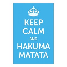 Панно (20x30 см) Hakuna matata TM-113-181 Ekoramka
