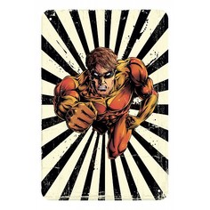 Панно (20x30 см) Superman TM-113-148 Ekoramka