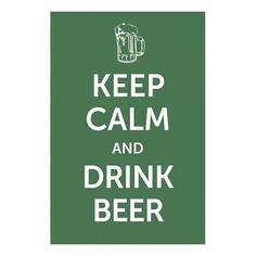 Панно (20x30 см) Drink beer TM-113-187 Ekoramka