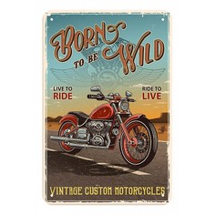 Панно (20x30 см) Born to be wild TM-113-101 Ekoramka