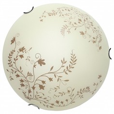 Накладной светильник Ornament A4920PL-3CC Arte Lamp