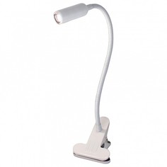 Настольная лампа офисная Ньютон CL803060N Citilux