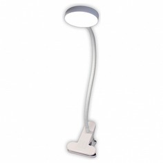 Настольная лампа офисная Ньютон CL803070N Citilux