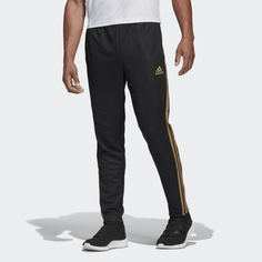 Брюки TIRO19 PNT adidas Performance