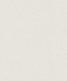 Обои Rasch Kids & Teens II 489507