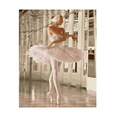 Картина по номерам Molly 40х50 см Белая лебедь