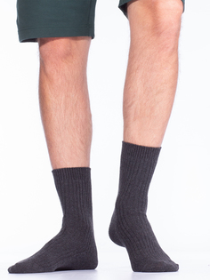 Носки мужские Hobby Line серые 39-44