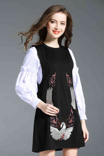 Set: Shirt, Dress Ferraga