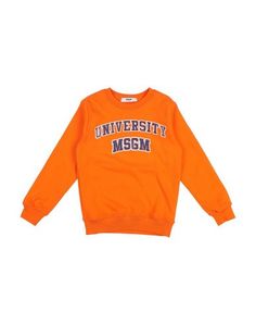 Толстовка Msgm