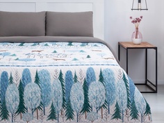 Покрывало Этель Winter Hygge 175x210cm 4588289