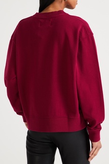Свитшот ягодного цвета Calvin Klein