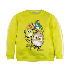 Джемпер Bossa Nova Angry Birds