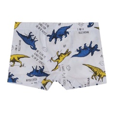 Трусы-боксеры Котмаркот