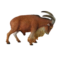 Фигурка Collecta Овца Барбари L 8 см