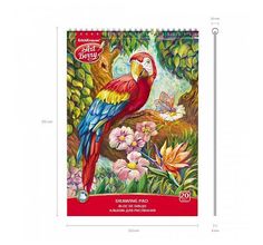 Альбом для рисования А4л ArtBerry Попугай