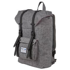 Рюкзак POLAR 17209 22.7 серый