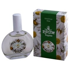 Туалетная вода Guy Alari Полевая ромашка, 40 мл