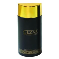 Туалетная вода Guy Alari Cezar, 100 мл