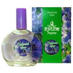 Туалетная вода Guy Alari Нежный ирис, 40 мл