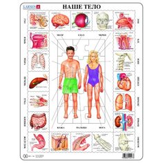 Рамка-вкладыш Larsen Наше тело (OB1), 35 дет.