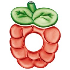 Прорезыватель Canpol Babies Two-colour water teether "Fruit" 2/812 красная ягодка
