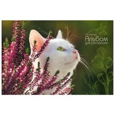 Альбом для рисования Unnika land Кот-мечтатель 29.7 х 21 см (A4), 110 г/м², 40 л.