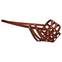 Намордник для собак COLLAR 0631, обхват морды 36 см коричневый