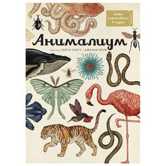 Брум Д. "Анималиум" Machaon