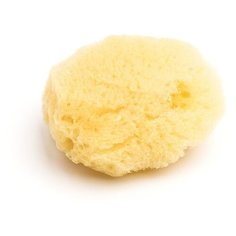 Кисть-спонж Малевичъ натуральная (195153) бежевый