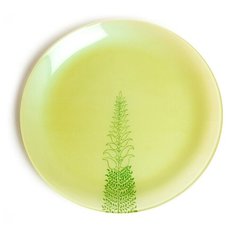 Luminarc Тарелка десертная Simply Lobelia 20.5 см зеленый