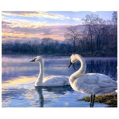 Color Kit Картина по номерам "Лебеди" 30х40 см (KS029)