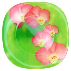 Luminarc Тарелка суповая Erine 21х21 см зеленый/розовый