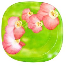 Luminarc Тарелка десертная Erine 18х18 см зеленый/розовый