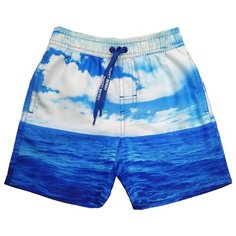 Шорты для плавания Sweet Berry размер 104, синий