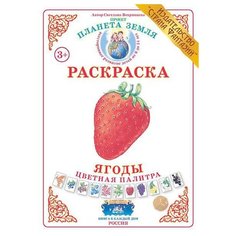 Страна Фантазий Раскраска. Цветная палитра. Ягоды