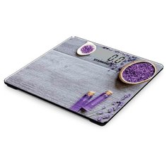 Весы STARWIND SSP6031