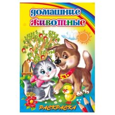 Феникс+ Раскраска. Домашние животные