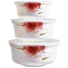 Teropal Салатник Акварель, 3 шт. белый