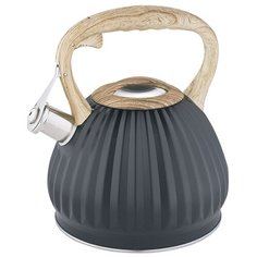 Alpenkok Чайник со свистком AK-529 3 л черный