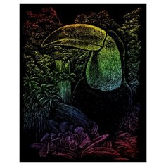 Гравюра Royal & Langnickel Тукан (RAIN18) цветная основа