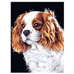 Color Kit Картина по номерам " Забавный щенок" 30х40 см (CE136)