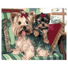 Color Kit Картина по номерам "Йоркширские терьеры" 30х40 см (KS034)