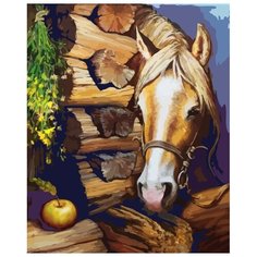 Color Kit Картина по номерам "Деревенский пейзаж" 30х40 см (CE203)